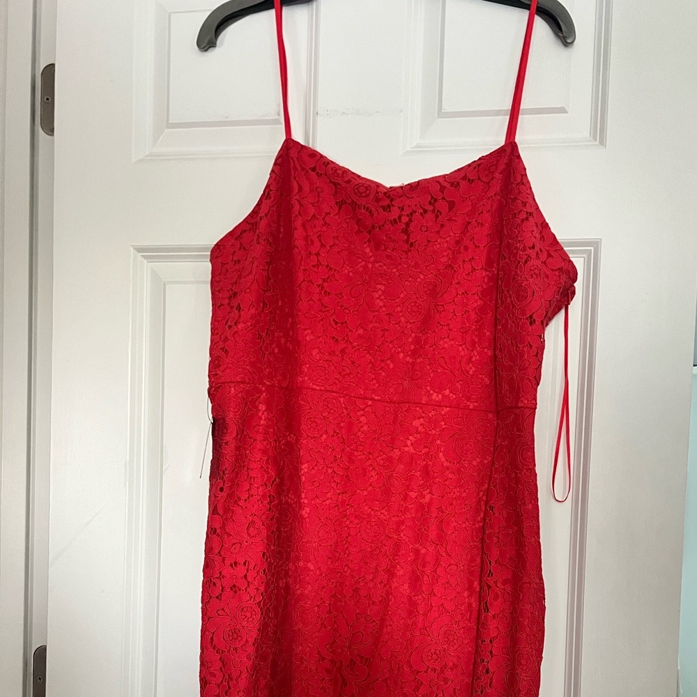 Express Vibrant Red Lace Midi Dress